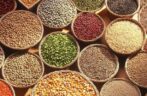 Understanding Ethiopian Oilseeds Export Quality Standards